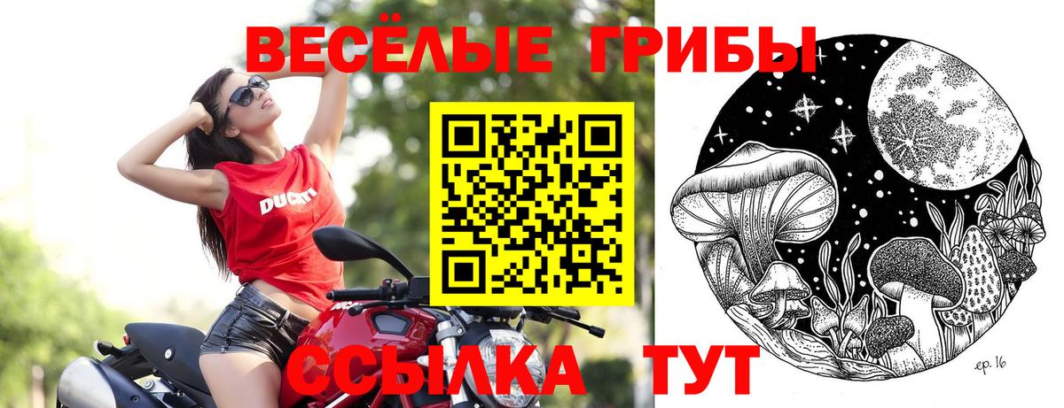 Томск  Псилоцибиновые грибы Cubensis  Псилоцибиновые грибы MAGIC MUSHROOMS  Вход с VPN 