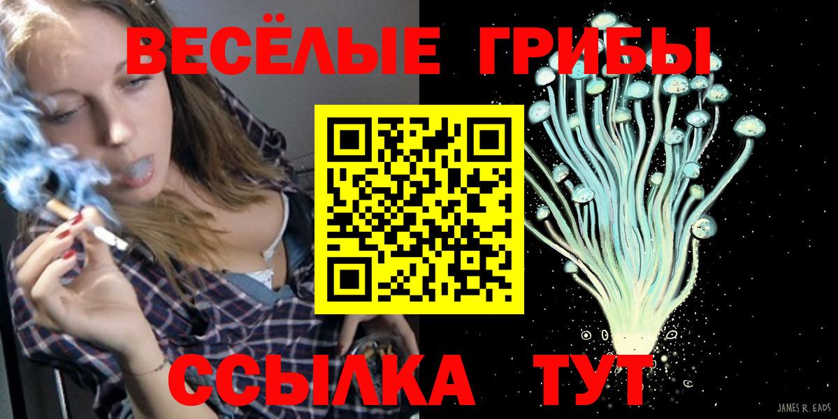 Галлюциногенные грибы Psilocybe Томск